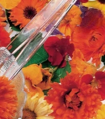 Směs květin - jedlé květy do salátů - semena - Sperli - 1 ks