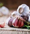 Sadbový česnek Morado de Cuenca - Allium sativum - nepaličák - cibule česneku - 1 balení