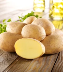 BIO sadbové brambory Gunda - Solanum tuberosum - bio brambory - 10 ks