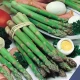 Chřest Gijnlim - Asparagus officinalis - prostokořenné sazenice chřestu - 1 ks