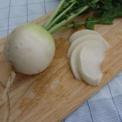 Ředkev Acord - Raphanus sativus - semena ředkve - 150 ks