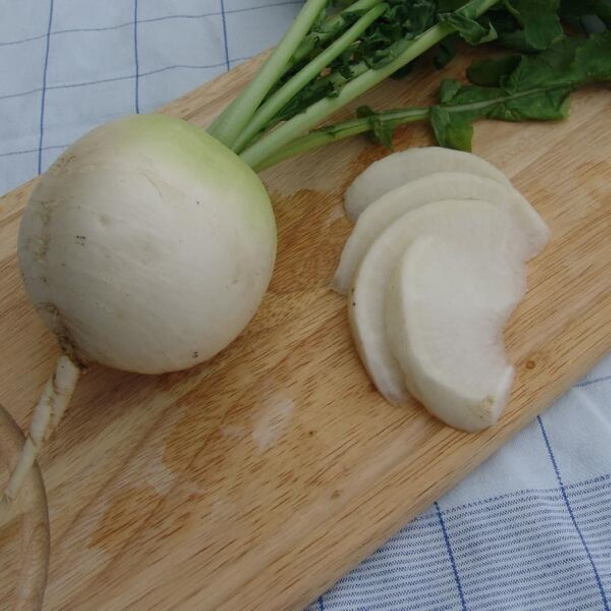 Ředkev Acord - Raphanus sativus - semena ředkve - 150 ks