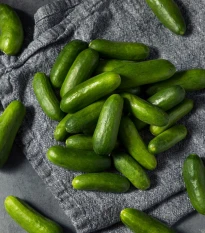 Okurka salátová Little Snack F1 - Cucumis sativus - semena okurky - 8 ks