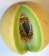 Melou cukrový- semena- 5 ks