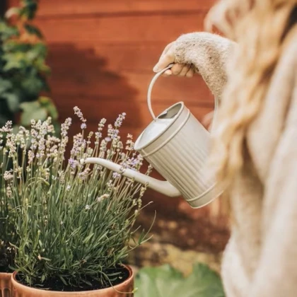 Kovová konvička Hugo - béžová - Strömshaga AB - 1 ks