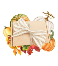 Dárkový balíček dýní - sada semínek