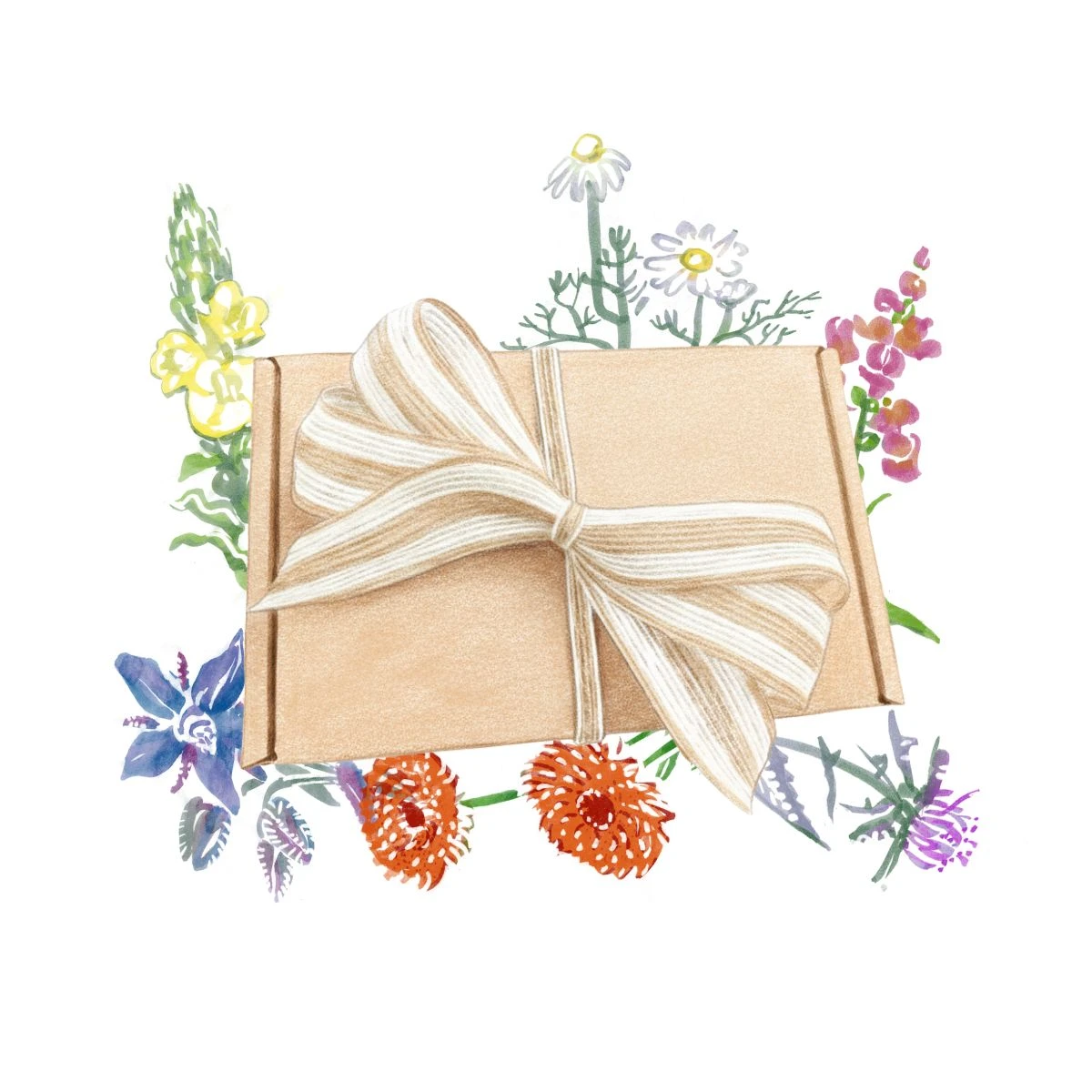 Dárkový balíček jedlých květů - sada semínek