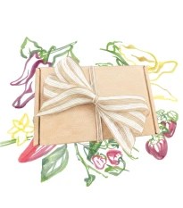 Dárkový balíček semen chilli - sada semínek