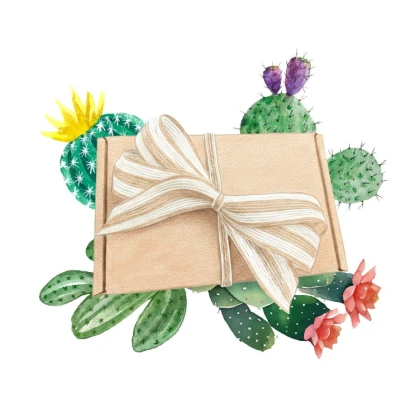 Dárkový balíček kaktusů - sada semínek