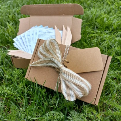 Dárkový balíček kaktusů - sada semínek