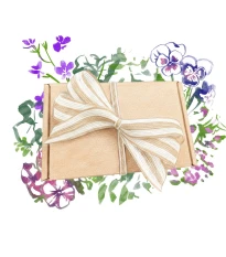 Dárkový balíček květů do truhlíku - sada semínek