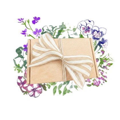 Dárkový balíček květů do truhlíku - sada semínek