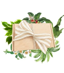 Dárkový balíček pokojových rostlin - sada semínek