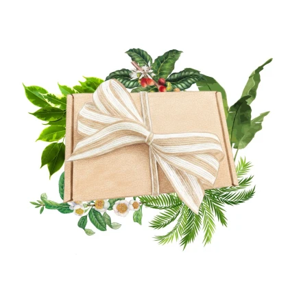 Dárkový balíček pokojových rostlin - sada semínek