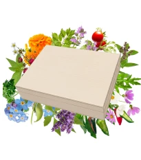 Top semínka v dřevěné krabičce - dárková sada