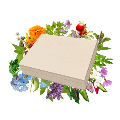 Top semínka v dřevěné krabičce - dárková sada