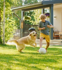 BIO Travní osivo - univerzální - semena - směs - 500 g