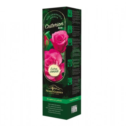 Růže velkokvětá keřová - Fragrant Criterion - Rosa - prostokořenné sazenice růže - 1 ks