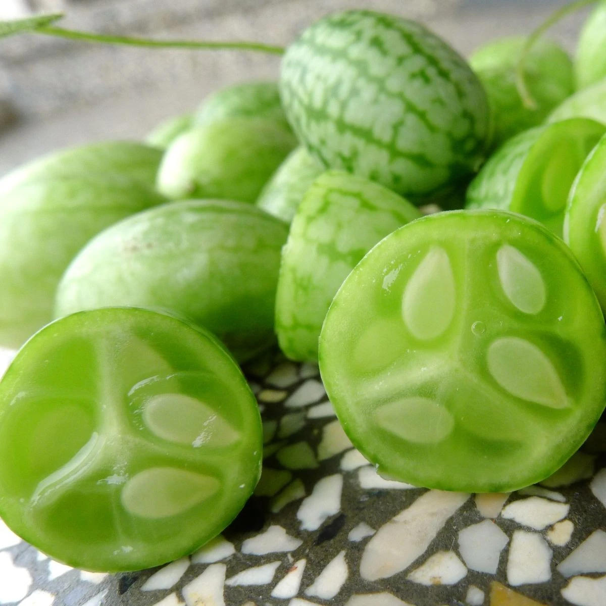 Mexická mini okurka - Melothria scabra - semena okurky - 5 ks