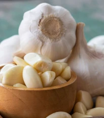 Sadbový česnek jarní Garpek - Allium - paličák - cibule česneku - 1 balení