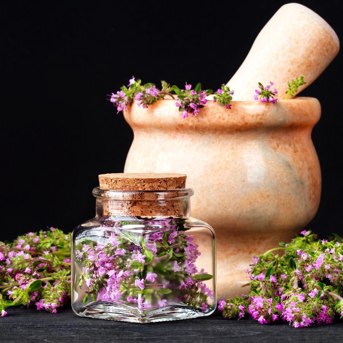 Mateřídouška - Thymus serpyllum - semena mateřídoušky - 500ks