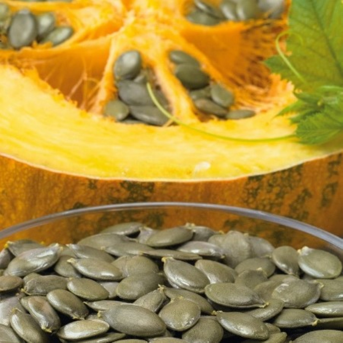 Tykev olejná Trumf F1 - Cucurbita pepo - semena tykve - 12 ks