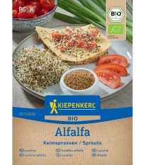 BIO Alfalfa - Vojtěška - Medicago sativa - bio semena na klíčení - 40 g