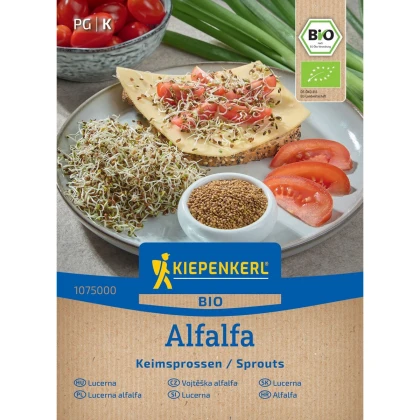 BIO Alfalfa - Vojtěška - Medicago sativa - bio semena na klíčení - 40 g