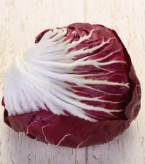 Čekanka Radicchio Indigo F1 - Cichorium intybus - semena čekanky - 20 ks