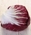 Čekanka Radicchio Indigo F1 - Cichorium intybus - semena čekanky - 20 ks