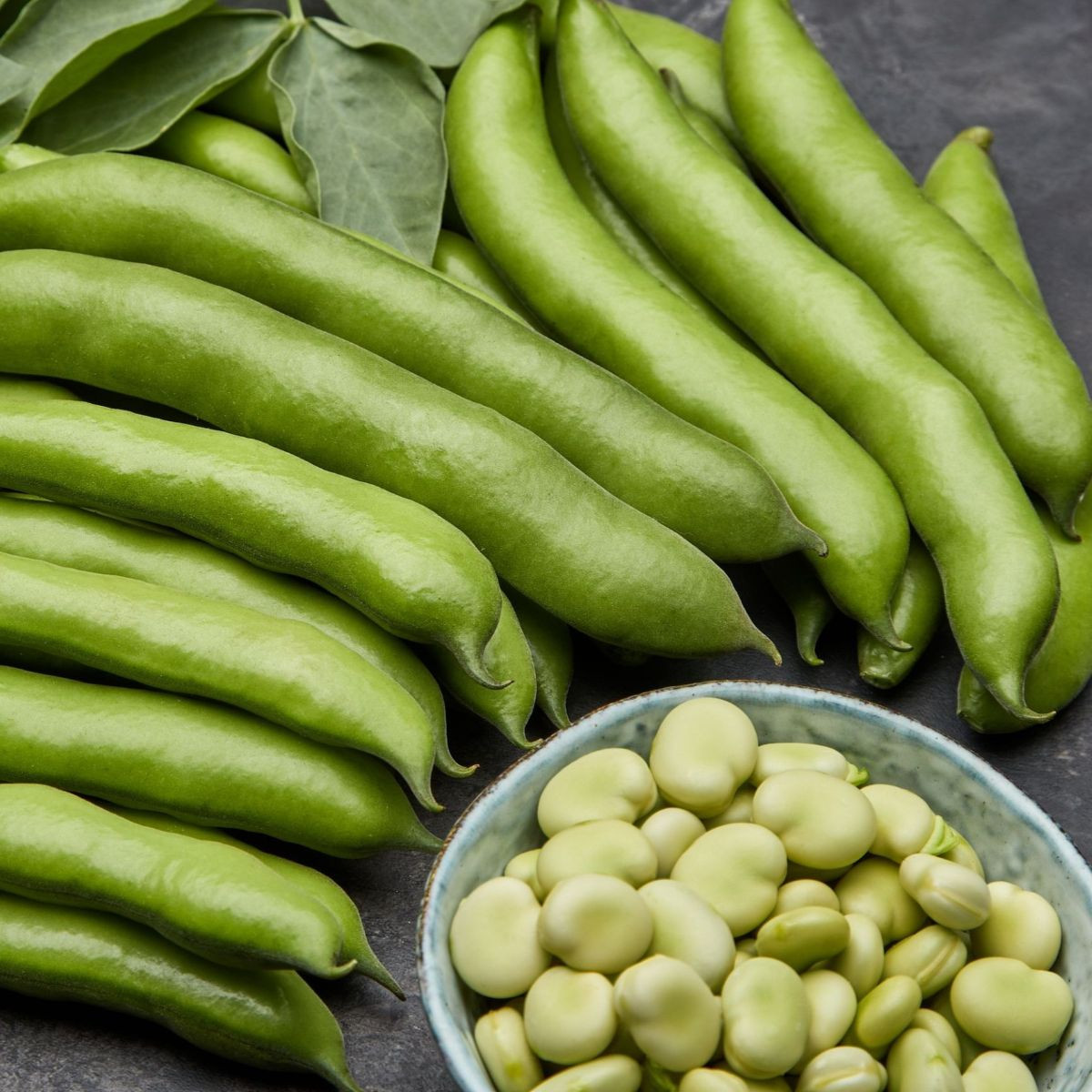 Bob obecný bílý Dreifach Weisse – Vicia faba – semena bobu – 20 ks