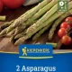 Chřest zelený Boonlim - Asparagus officinalis - prostokořenné sazenice chřestu - 2 ks