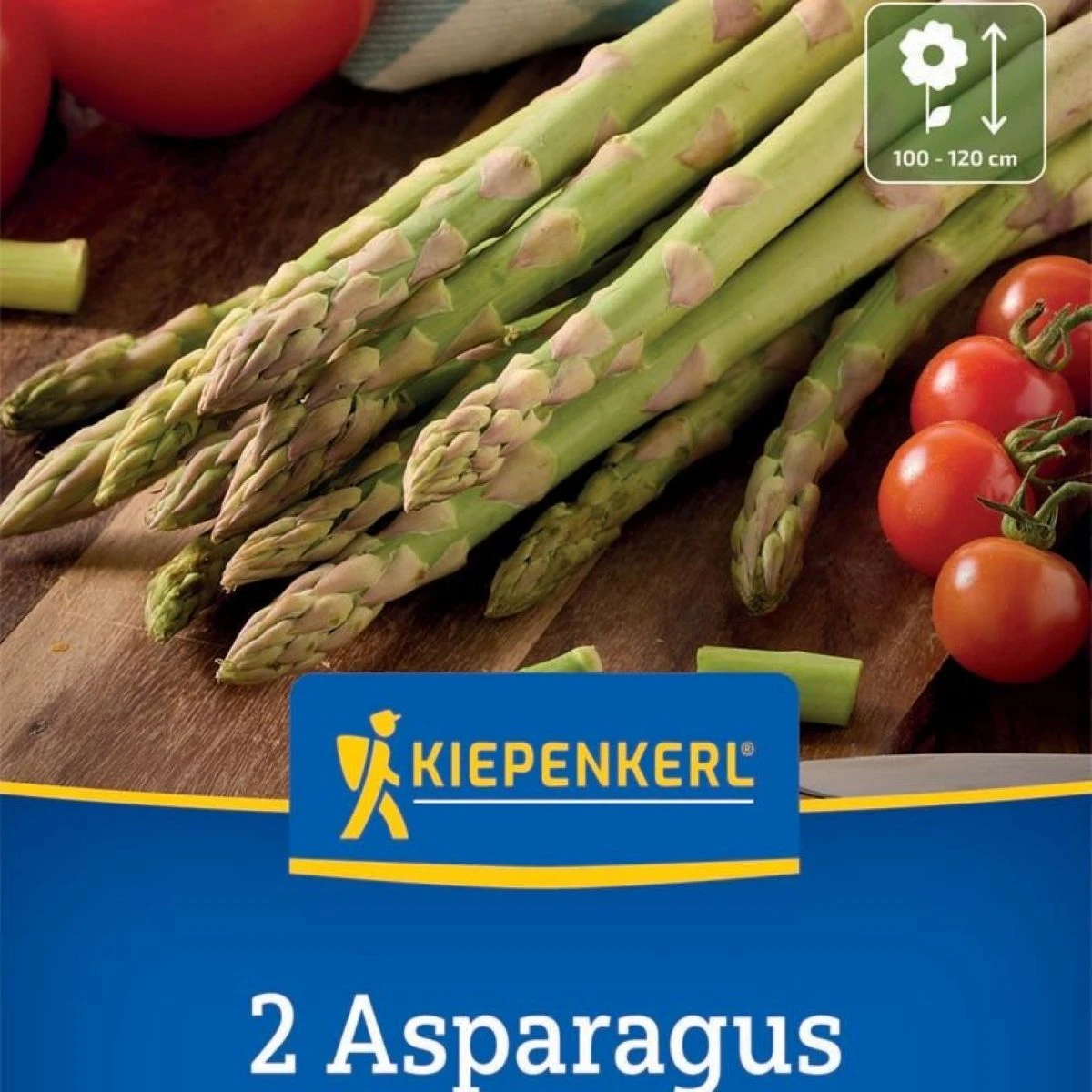 Chřest zelený Boonlim - Asparagus officinalis - prostokořenné sazenice chřestu - 2 ks