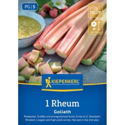 Rebarbora Goliath - Rheum rhabarbarum - prostokořenné sazenice rebarbory - 1 ks
