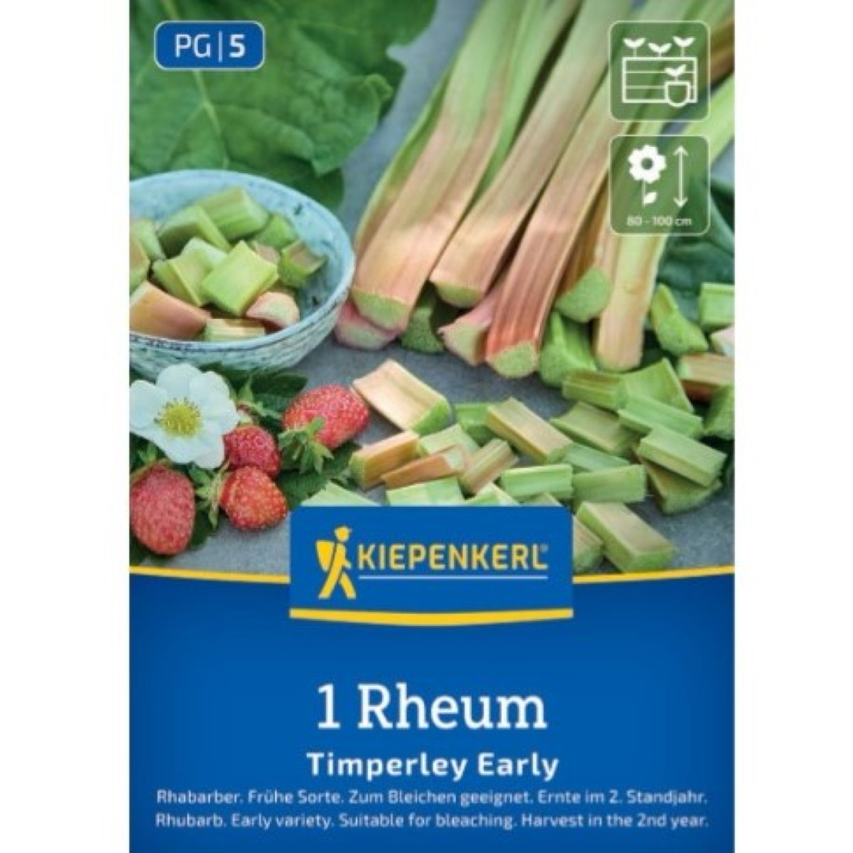 Rebarbora Timperley Early - Rheum rhabarbarum - prostokořenné sazenice rebarbory - 1 ks