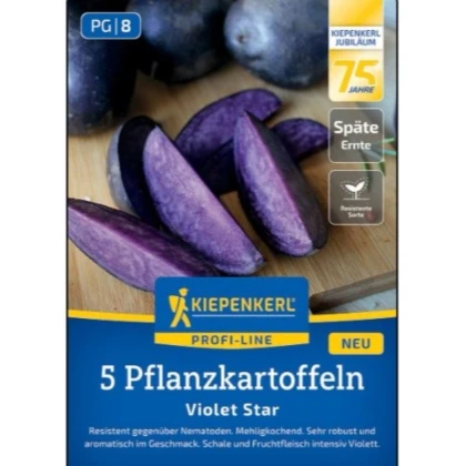 Sadbové brambory Violet Star - Solanum tuberosum - brambory - 5 ks