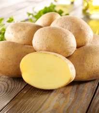 Sadbové brambory Gunda - Solanum tuberosum - brambory - 10 ks