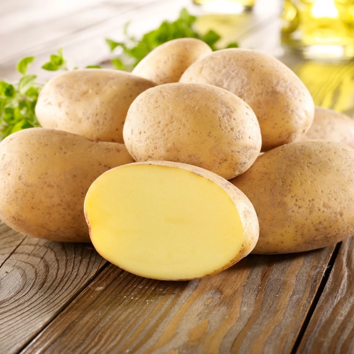 Sadbové brambory Gunda - Solanum tuberosum - brambory - 10 ks