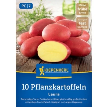Sadbové brambory Laura - Solanum tuberosum - 10 ks