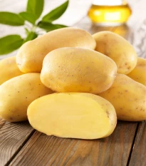Sadbové brambory Sieglinde - Solanum tuberosum - brambory - 10 ks