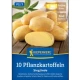 Sadbové brambory Sieglinde - Solanum tuberosum - brambory - 10 ks