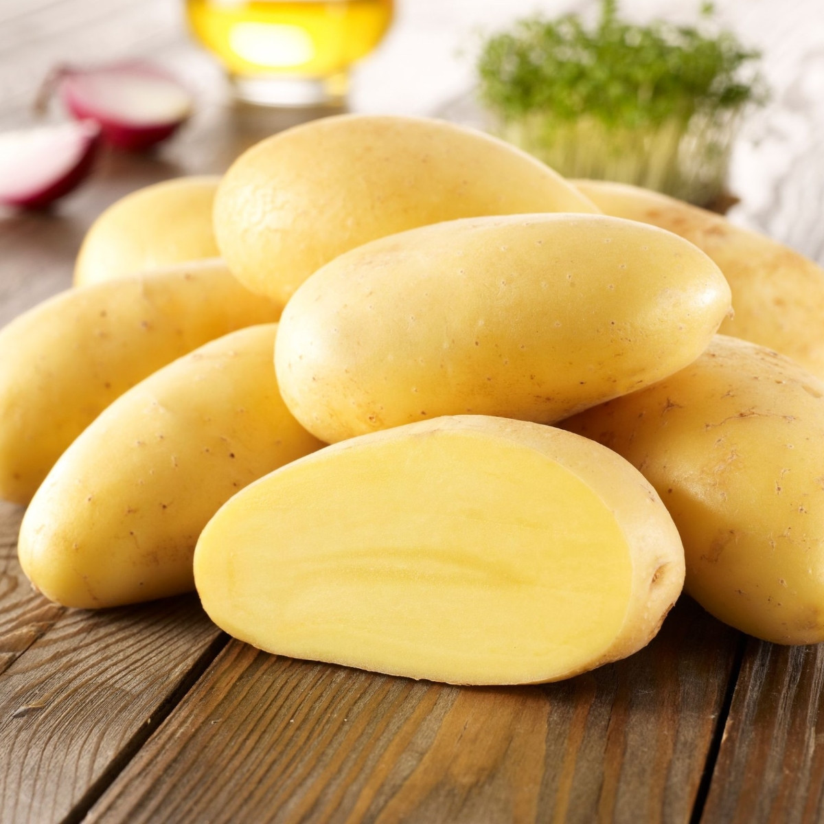 Sadbové brambory Cilena - Solanum tuberosum - brambory - 10 ks