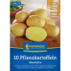 Sadbové brambory Glorietta - Solanum tuberosum - brambory - 10 ks