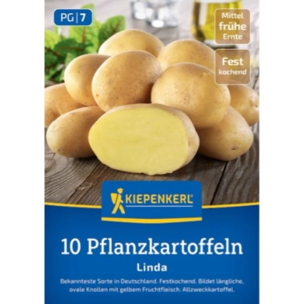 Sadbové brambory Linda - Solanum tuberosum - brambory - 10 ks