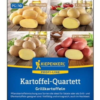 Sadbové brambory - 4 druhy - grilovací - Solanum tuberosum - brambory - 12 ks