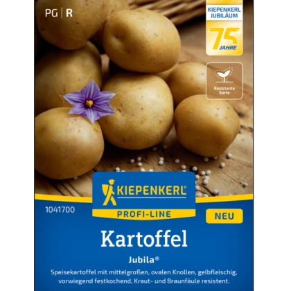 Brambory Jubila F1 - Solanum tuberosum - semena Kiepenkerl - 1 ks