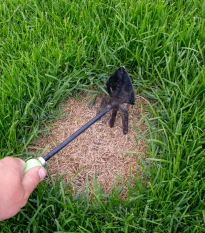 Trávník pro dosev Premium - semena Kiepenkerl - směs - 25 g