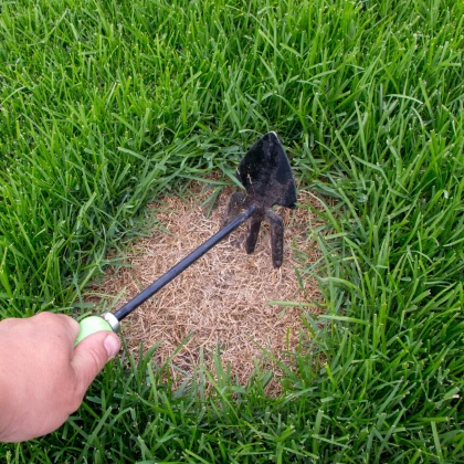 Trávník pro dosev Premium - semena Kiepenkerl - směs - 25 g