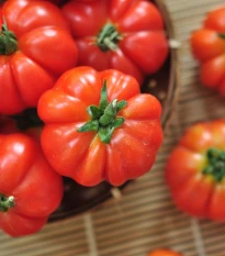 Rajče Pantano Romanesco - Solanum lycopersicum - semena rajčete - 7 ks