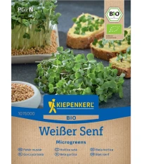 BIO Bílá hořčice - microgreens - 50 g